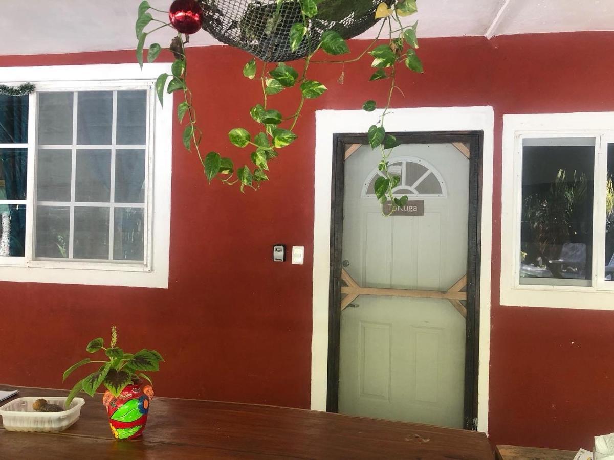 אל קויו Habitacion Tortuga Casa Maria Bonita מראה חיצוני תמונה