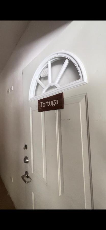 אל קויו Habitacion Tortuga Casa Maria Bonita מראה חיצוני תמונה